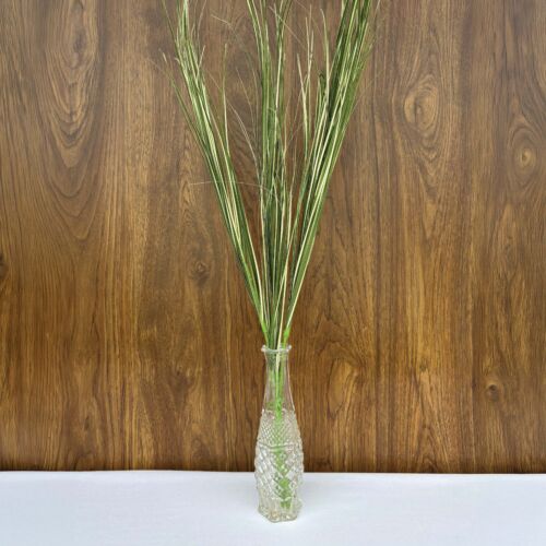 Tall Grass Bunch JPG